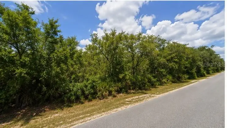 00 Country Road, Eustis, FL 32726 - #3