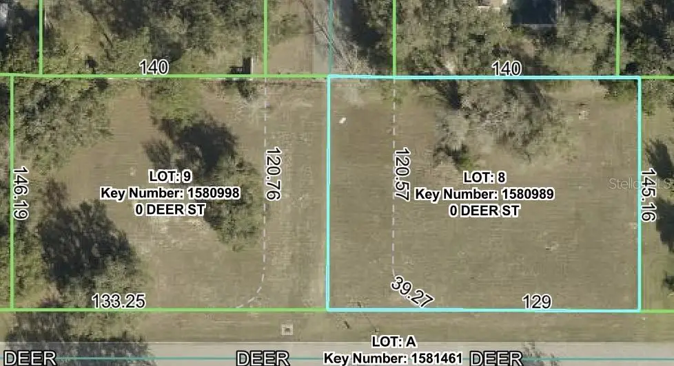 lot 8 Deer Street, Spring Hill, FL 34608 - #1