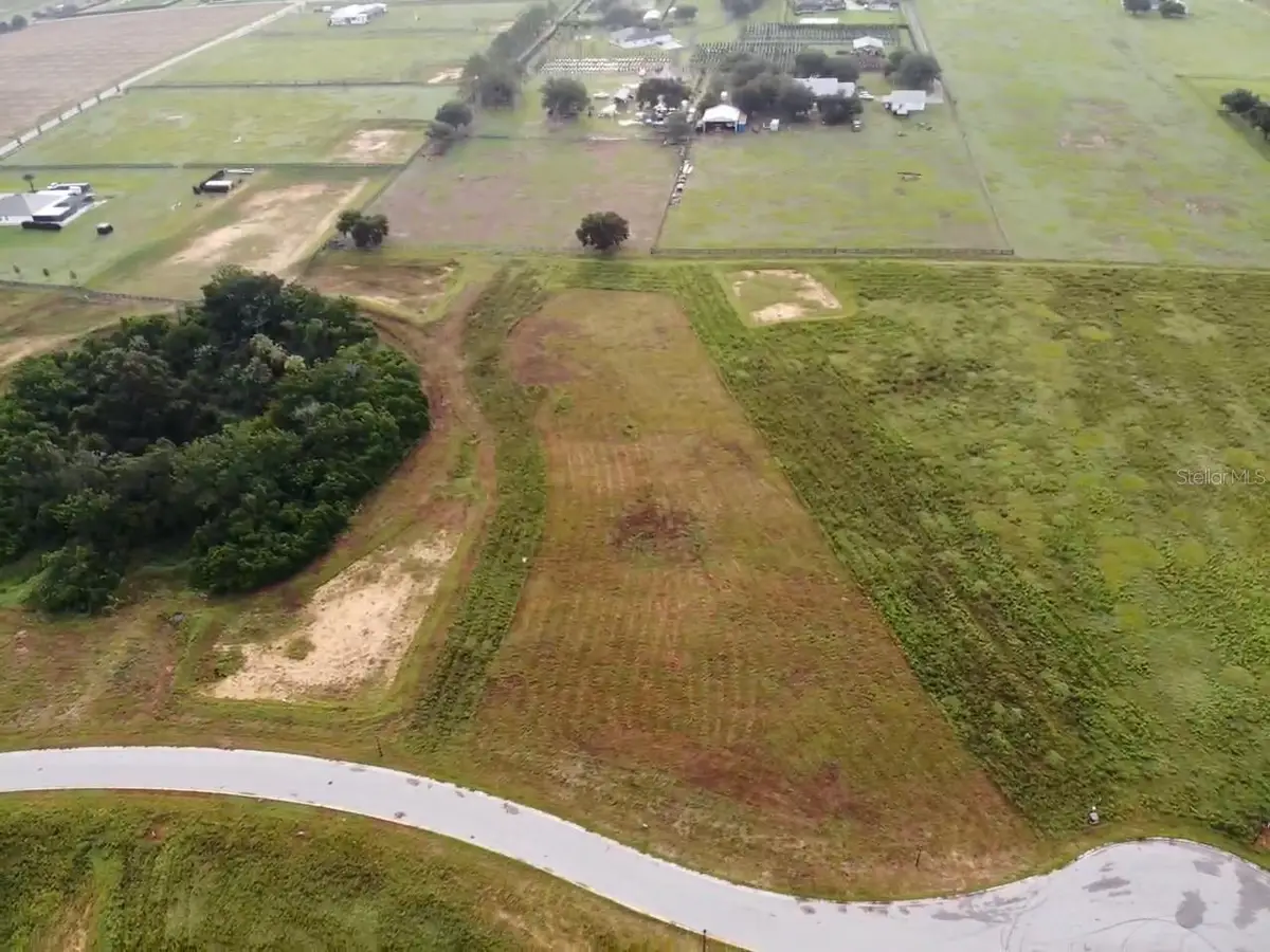 10023 White Egret Drive, Thonotosassa, FL 33592 - #1