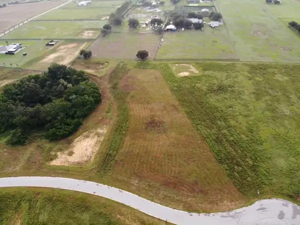 10023 White Egret Drive, THONOTOSASSA, FL 33592