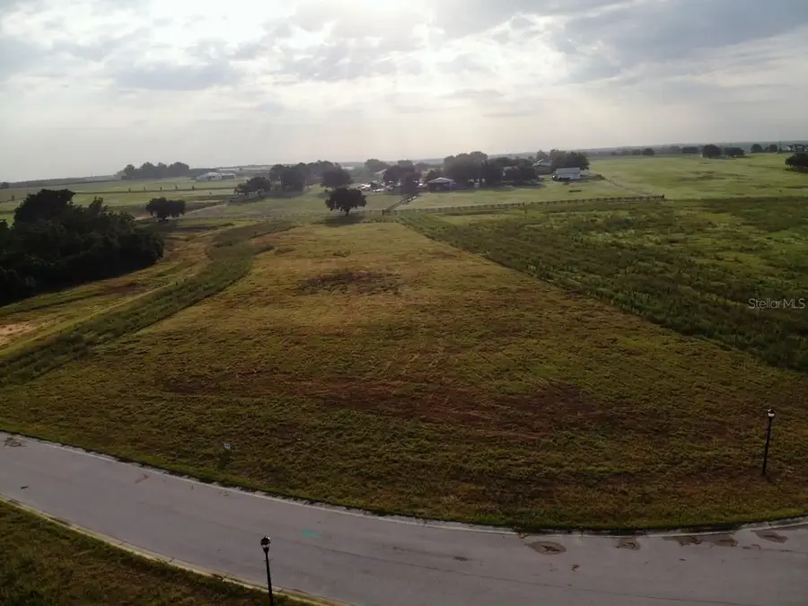 10023 White Egret Drive, Thonotosassa, FL 33592 - #3