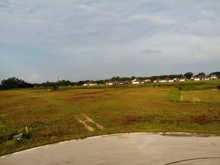 10016 White Egret Drive, Thonotosassa, FL 33592 - #3