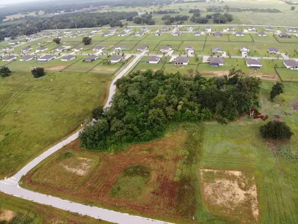 White Egret Drive, THONOTOSASSA, FL 33592