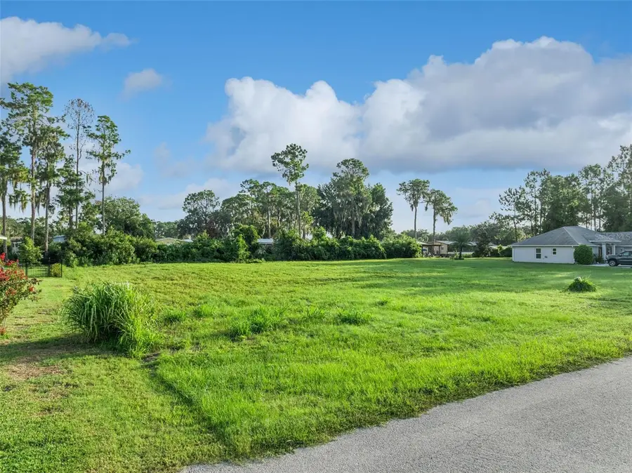 12045 Eagle Point Court, Leesburg, FL 34788 - #2