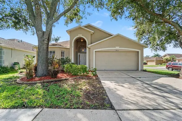 29412 Sea Dahlia Pass, WESLEY CHAPEL, FL 33543