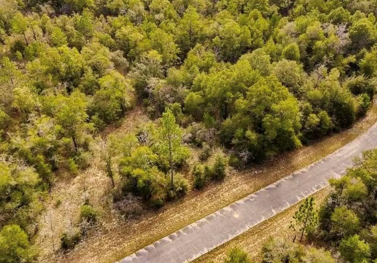 LOT# 42 Dandelion Drive, Chipley, FL 32428 - #1