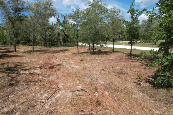53rd Lane, MORRISTON, FL 32668