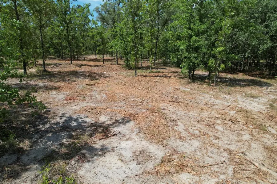 53rd Lane, Morriston, FL 32668 - #3