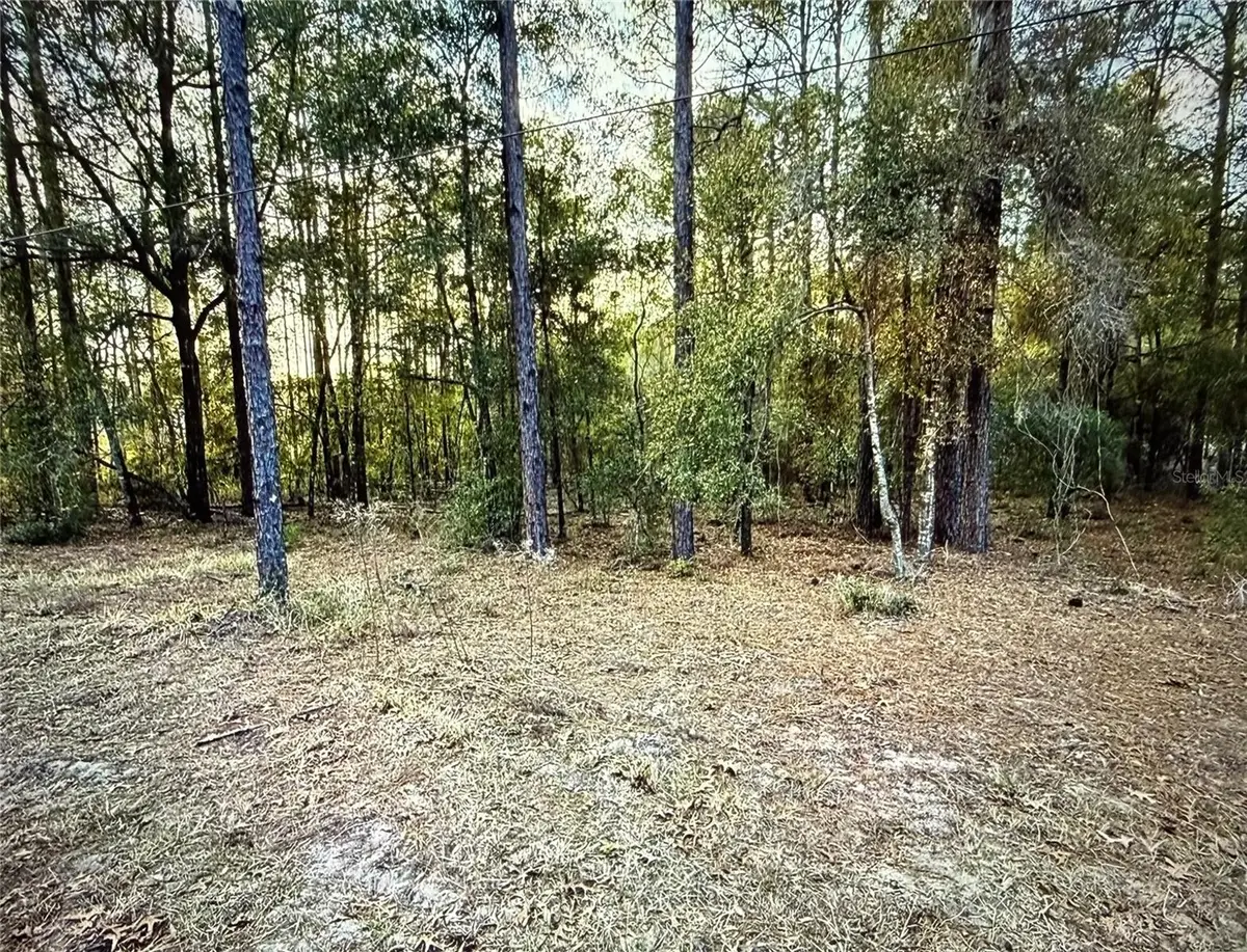 Sw 205th Circle, Dunnellon, FL 34431 - #1