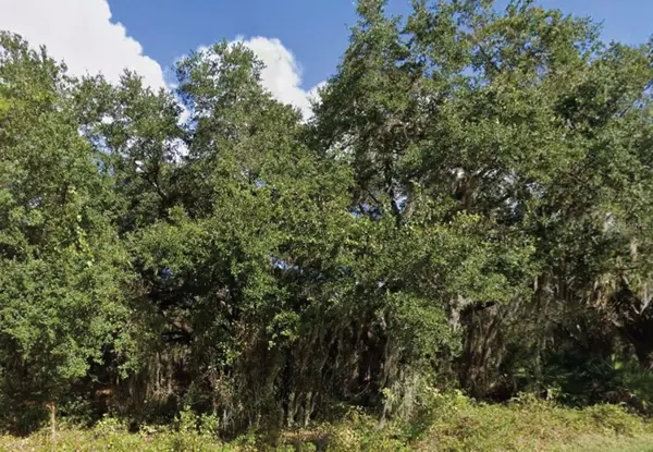 0 Mineola Drive, INDIAN LAKE ESTATES, FL 33855