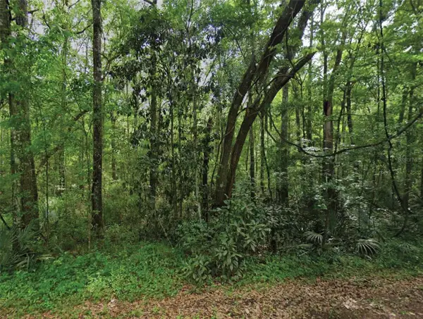Scenic Drive, MIDDLEBURG, FL 32068