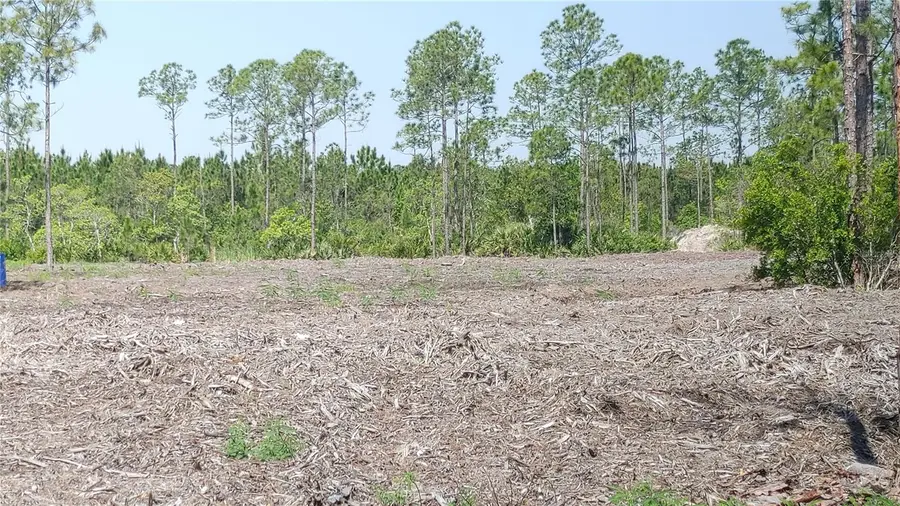 1001 Omega Ranch Road #16, New Smyrna Beach, FL 32168 - #2