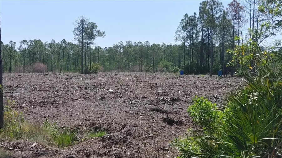 1001 Omega Ranch Road #16, New Smyrna Beach, FL 32168 - #3