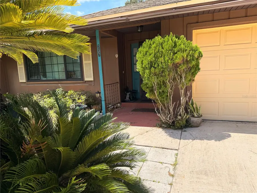 237 Cranbrook Drive, Kissimmee, FL 34758 - #3