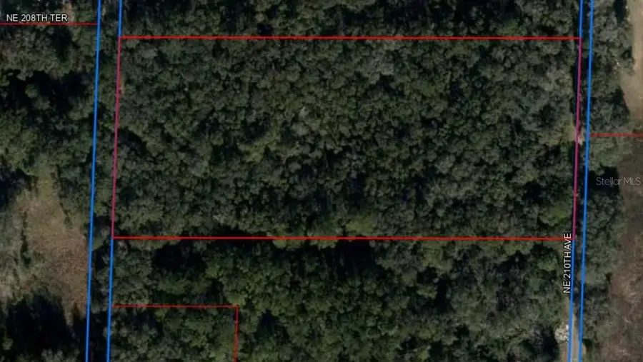 Ne 210th Avenue, Williston, FL 32696 - #2