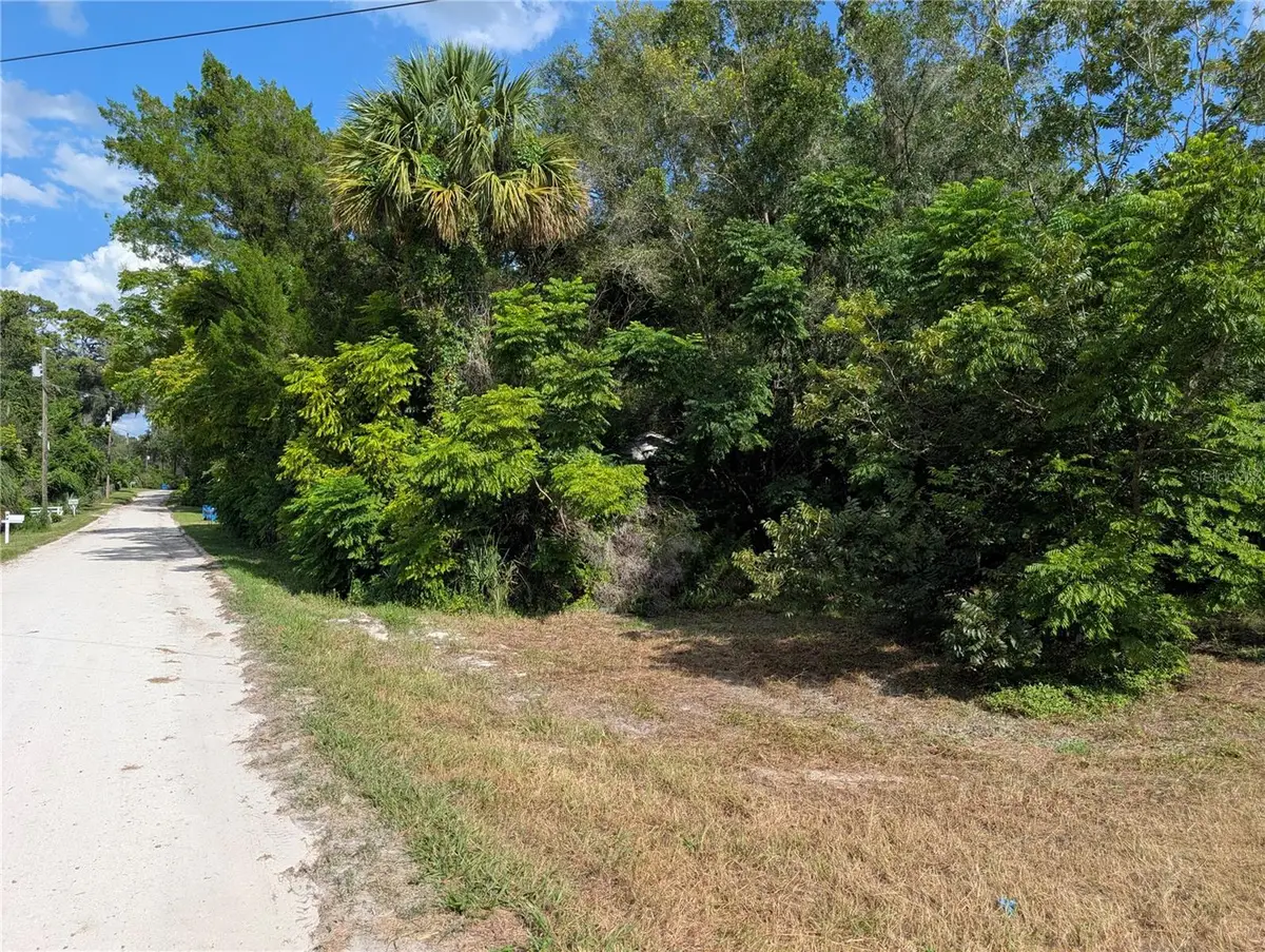 700 Grant Avenue, Deland, FL 32724 - #1