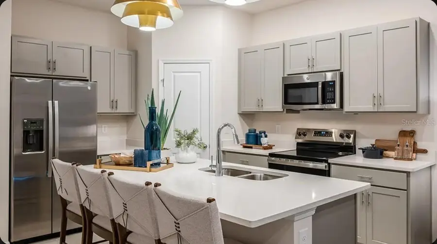 2513 Balmerino Way #2513, Mount Dora, FL 32757 - #2