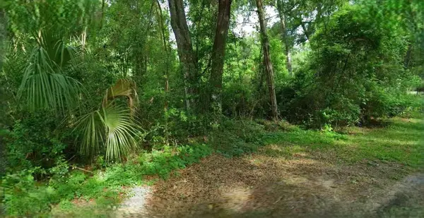 4226 N Forest Lake Drive, HERNANDO, FL 34442