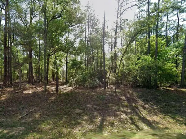 8297 N Yellowbird Avenue, CITRUS SPRINGS, FL 34434