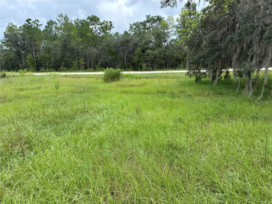 8549 SW 136th Terrace, Dunnellon, FL 34432 - #2