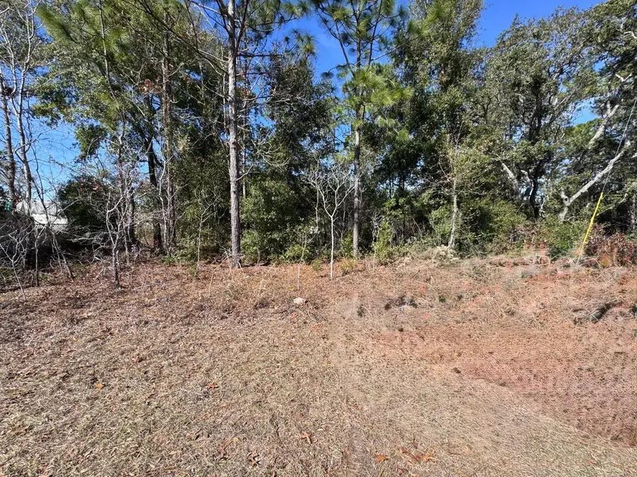 9052 N Burmany Way, Citrus Springs, FL 34433 - #2