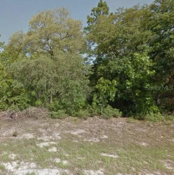 9052 N Burmany Way, Citrus Springs, FL 34433 - #3