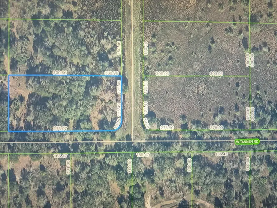 3300 W Tannen Road, Avon Park, FL 33825 - #2