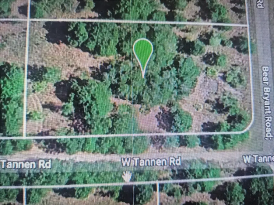 3300 W Tannen Road, Avon Park, FL 33825 - #3