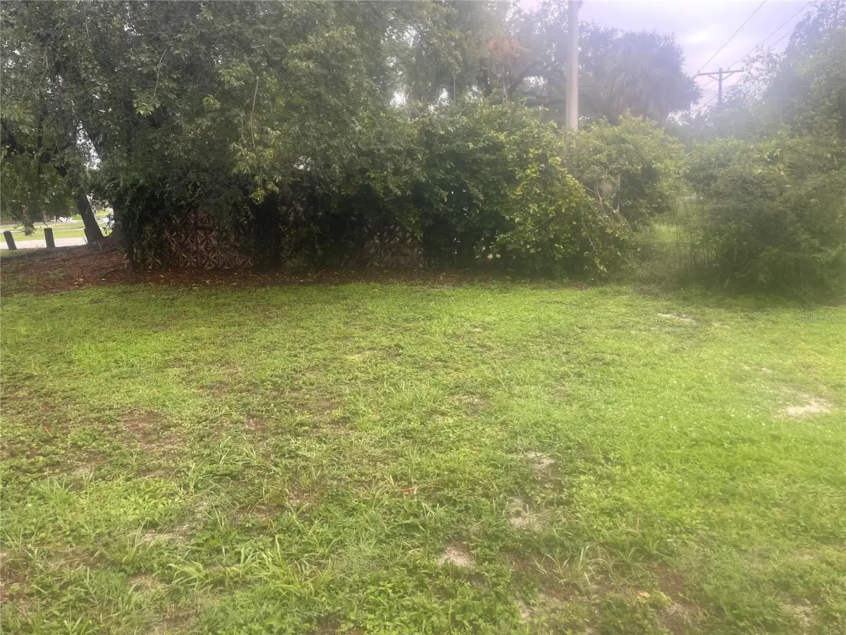 33855 Mandrake Road, Wesley Chapel, FL 33543 - #1
