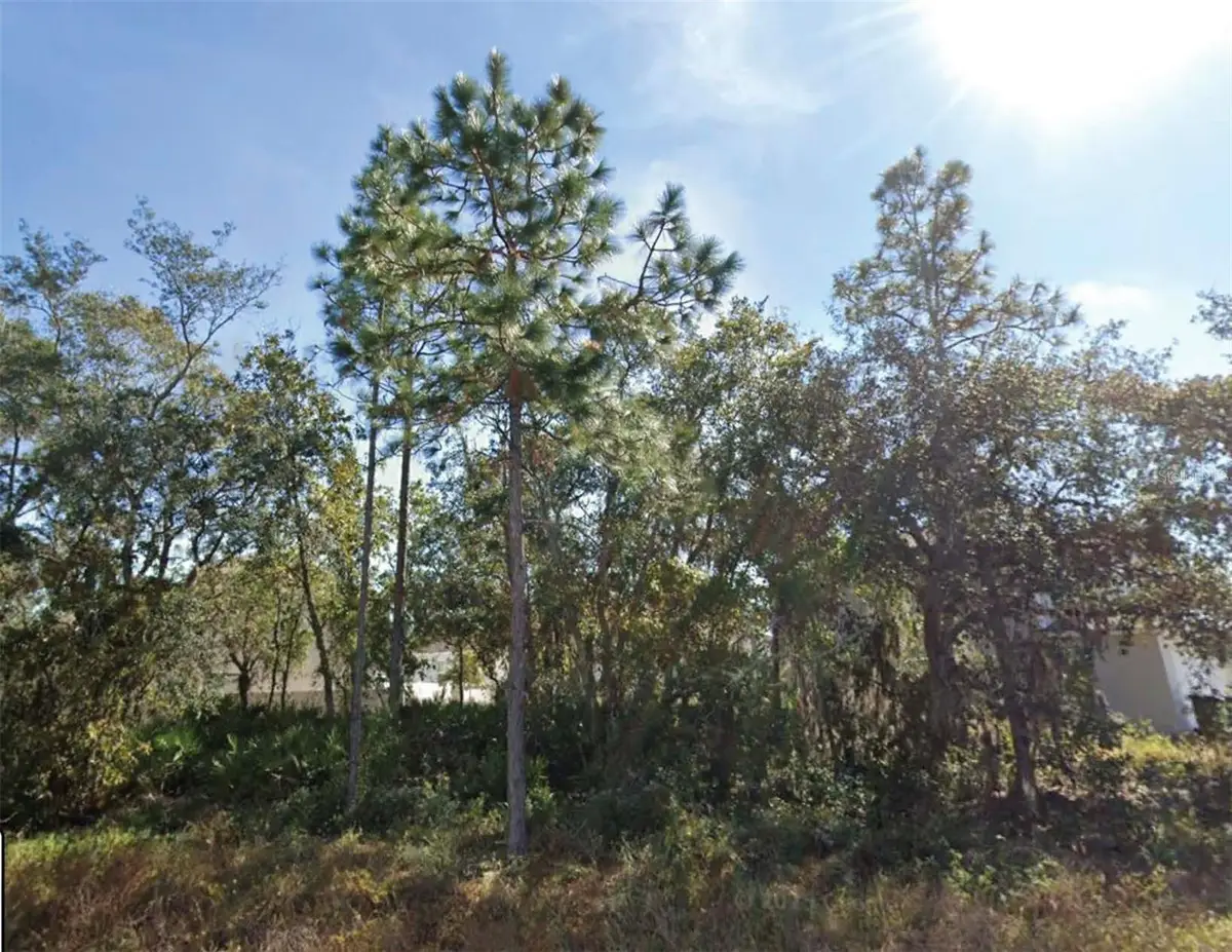 1626 Pilchard Court, Poinciana, FL 34759 - #1