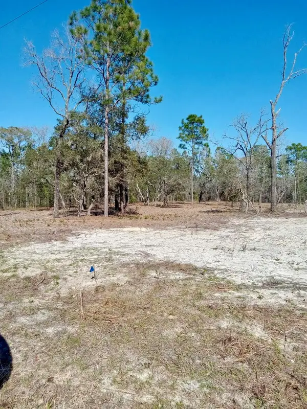 0 SE 125th Court, DUNNELLON, FL 34431