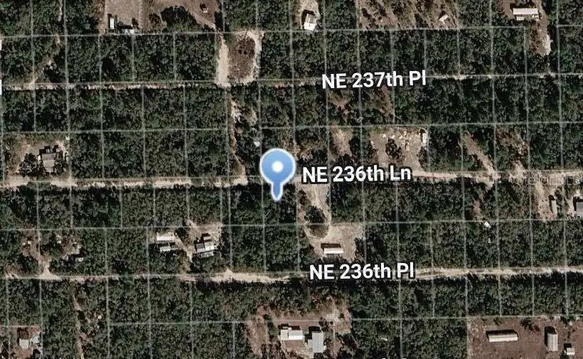 NE 236th Lane, Fort McCoy, FL 32134 - #2
