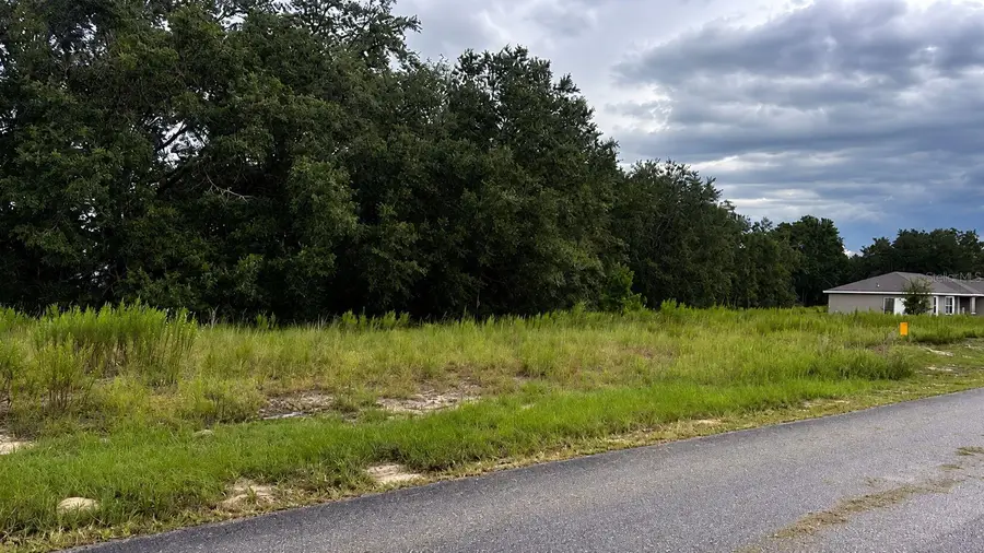 7762 N Manville Road, Citrus Springs, FL 34434 - #3