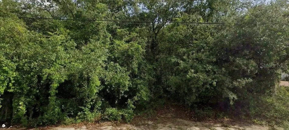 6175 Roxboro Street, Spring Hill, FL 34606 - #1