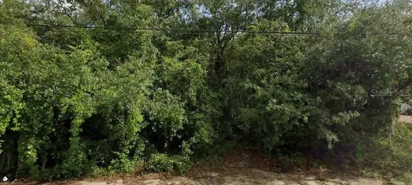 6175 Roxboro Street, SPRING HILL, FL 34606