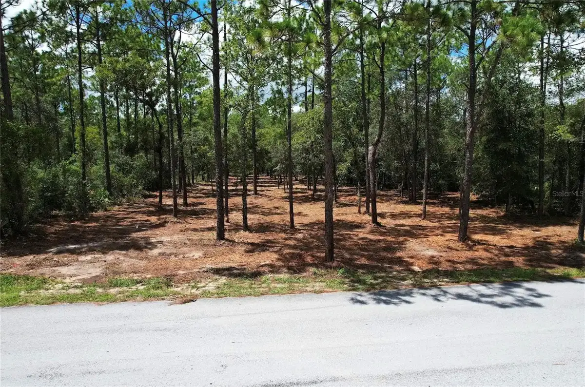 SW 183rd Terrace, Dunnellon, FL 34432 - #1