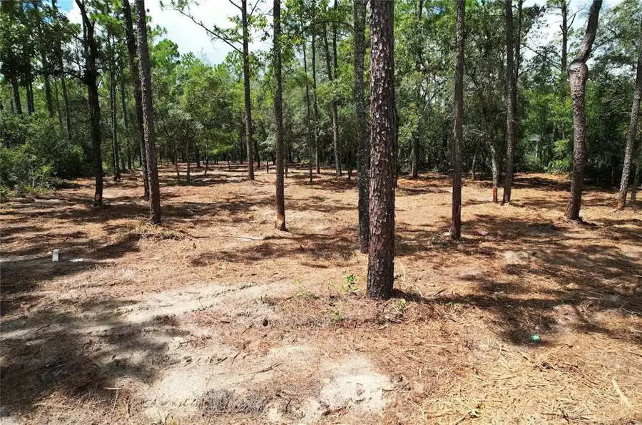 SW 183rd Terrace, Dunnellon, FL 34432 - #3