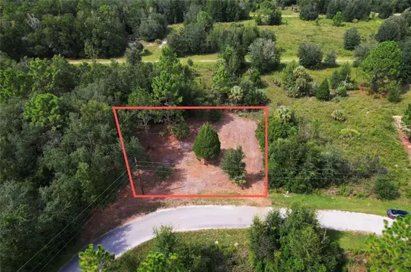 8750 N Catapane Loop, CRYSTAL RIVER, FL 34428