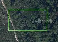 1528 Hackberry Avenue, Avon Park, FL 33825 - #1