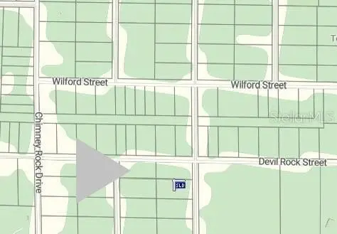 Grindstone Drive, Webster, FL 33597 - #1