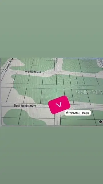 Grindstone Drive, Webster, FL 33597 - #2