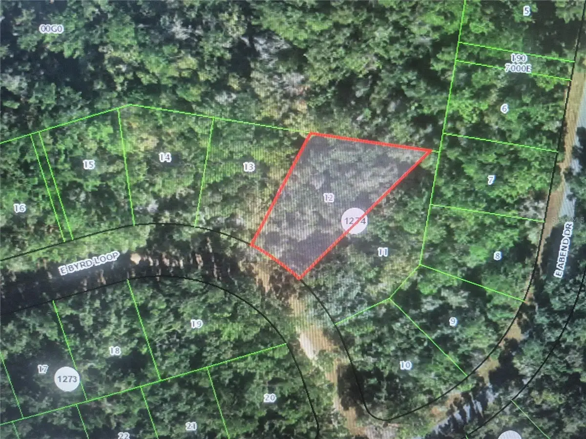 893 E Byrd Loop, Citrus Springs, FL 34434 - #1