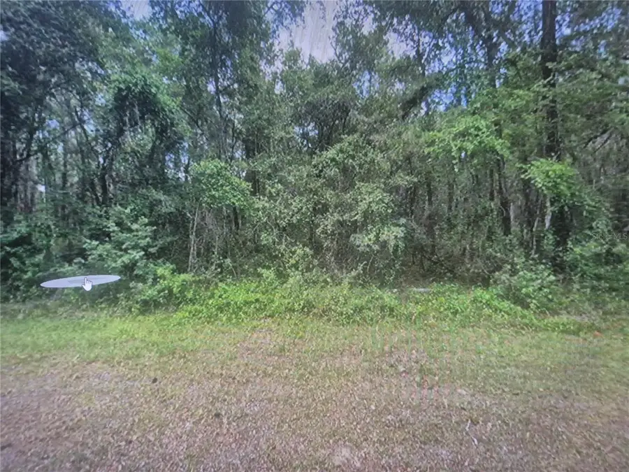 893 E Byrd Loop, Citrus Springs, FL 34434 - #2