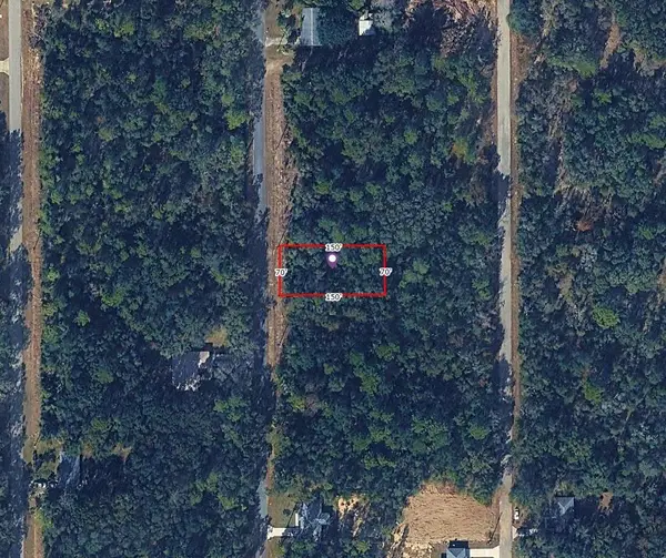 Sw Algiers Ct, DUNNELLON, FL 34431
