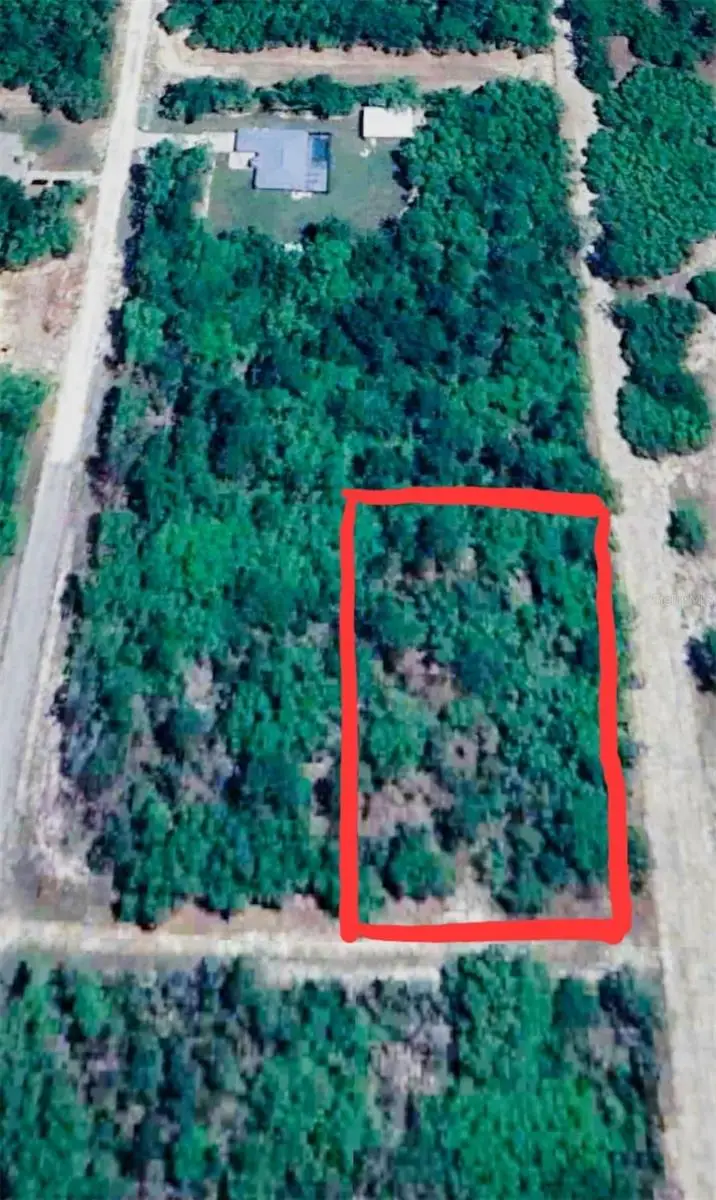 12021 SW 85th Pl, Dunnellon, FL 34432 - #2