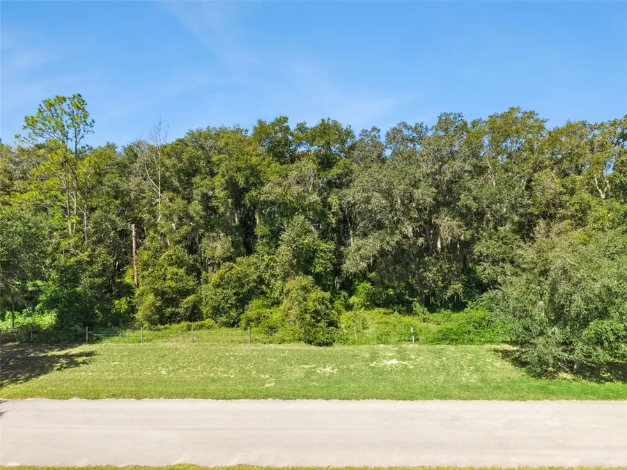 Grass Roots Road #Lot 1, Groveland, FL 34736 - #2