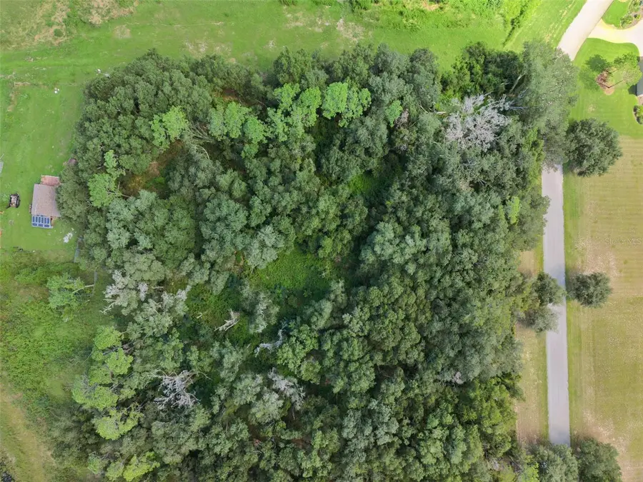 Grass Roots Road #Lot 1, Groveland, FL 34736 - #3