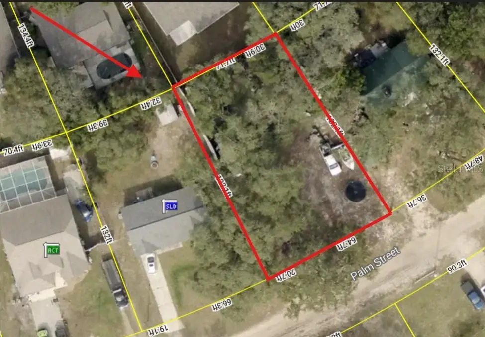 Palm Street, Lady Lake, FL 32159 - #1
