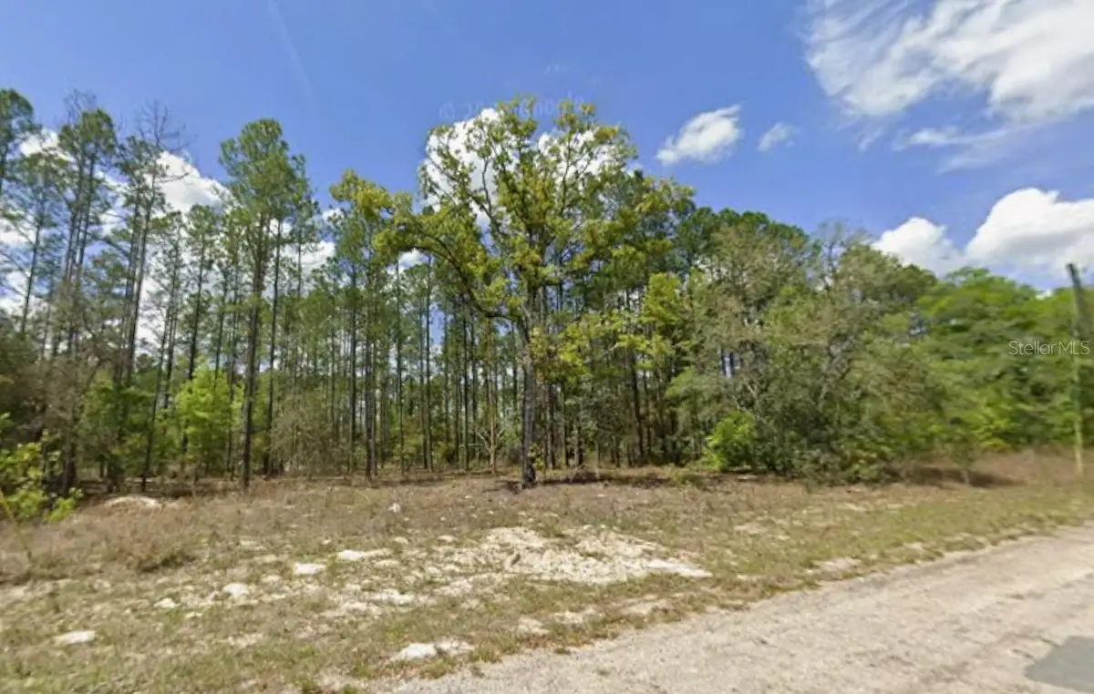 10838 N Ocean Drive, Citrus Springs, FL 34434 - #1