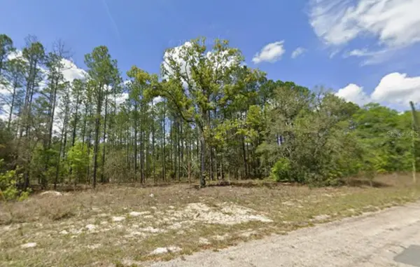 10838 N Ocean Drive, CITRUS SPRINGS, FL 34434